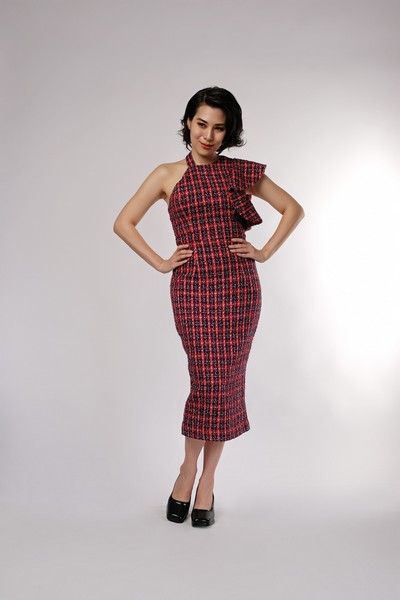 Red Tweed Regal Dress